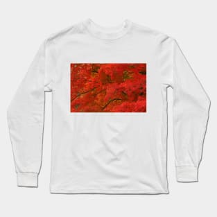 Maple Tree in Autumn Long Sleeve T-Shirt